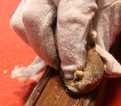 红木家具质量好坏重要因素-做工