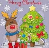 圣诞节送女朋友什么