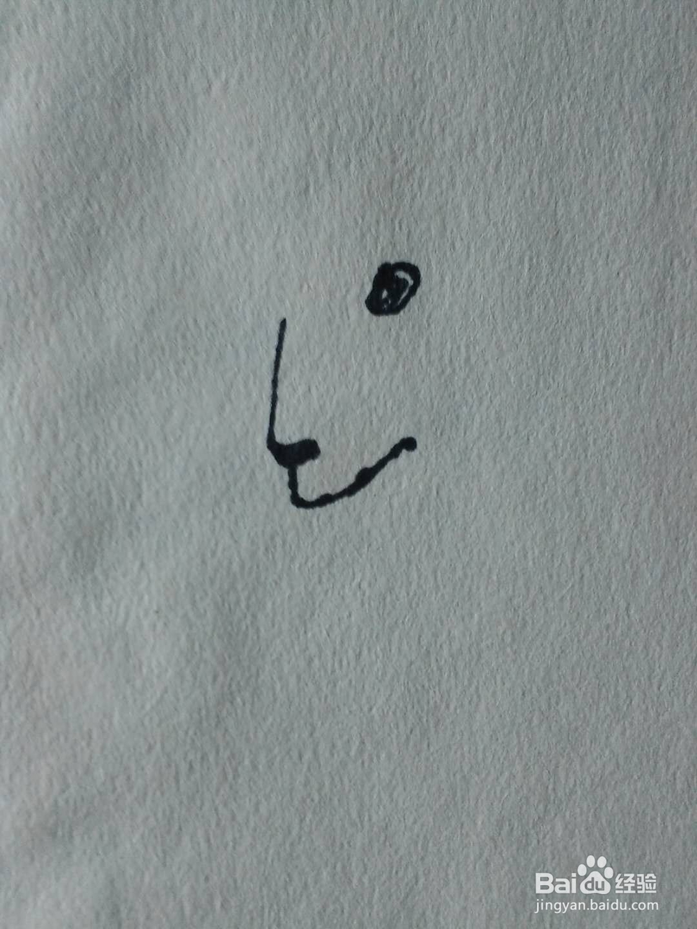 简笔画绵羊的画法