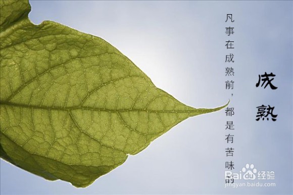 怎么样做一个成熟的人？