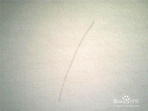 简笔画好看的叶子: