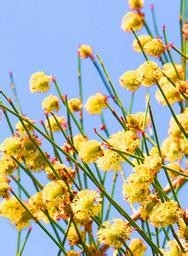 美容生活小常识1