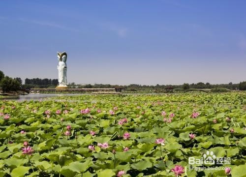 保定旅游景点攻略