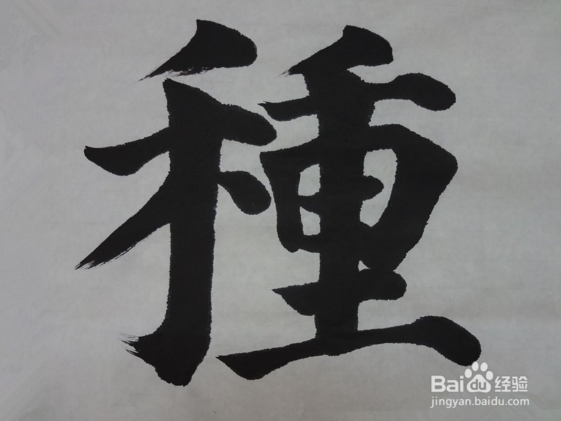 书法如何快速入门?