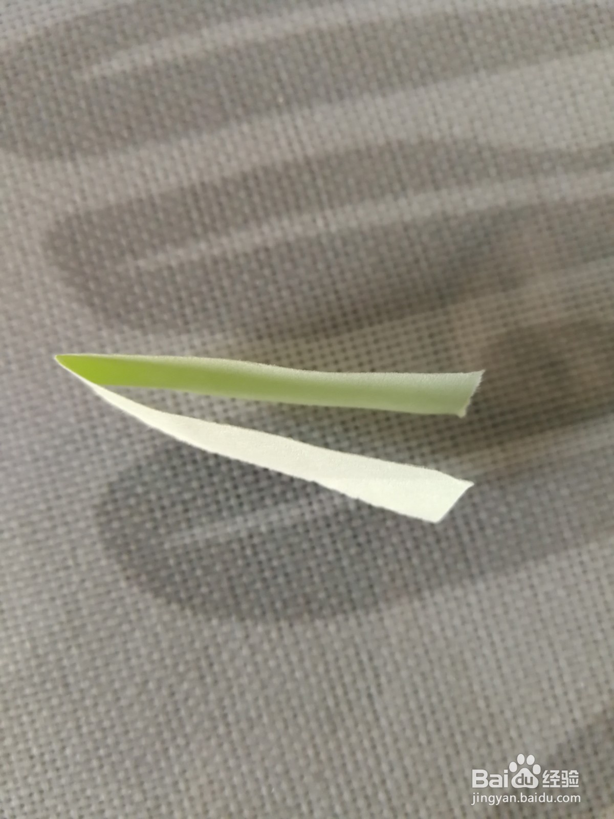 漂亮的彩纸拉花