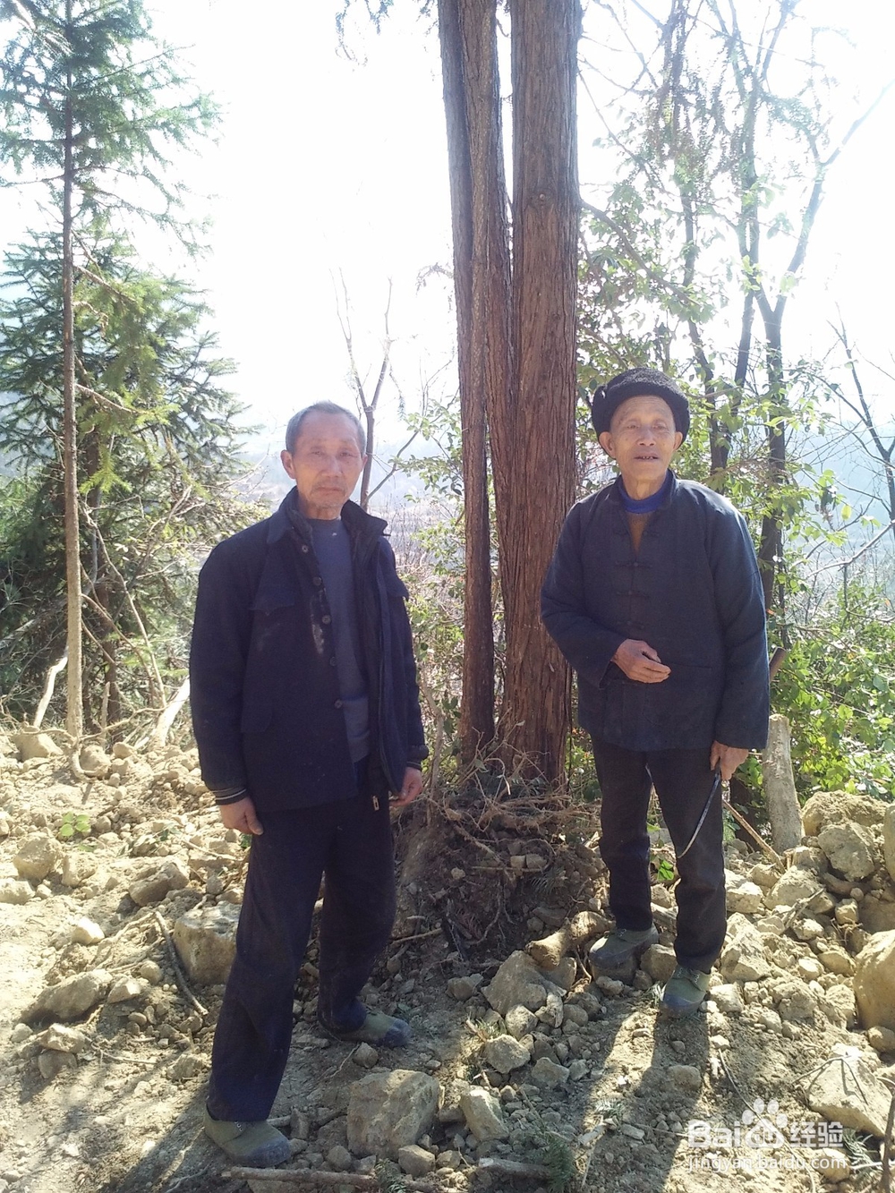 扶贫实现鸣凤人乡村旅游梦想记实