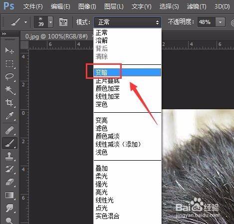 PS怎么把掺杂的白发变成黑发