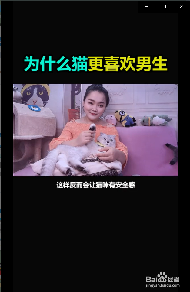 为什么猫咪更喜欢男生