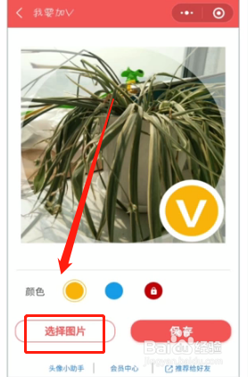制作微信头像的软件?