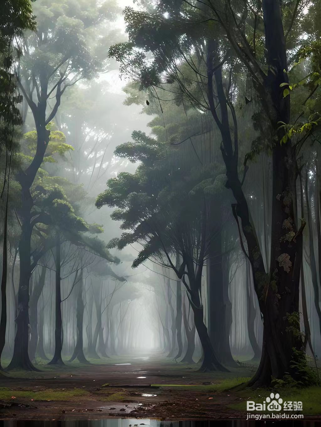 夏天的树木怎么形容