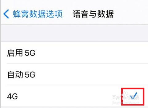 苹果12关闭5g开关