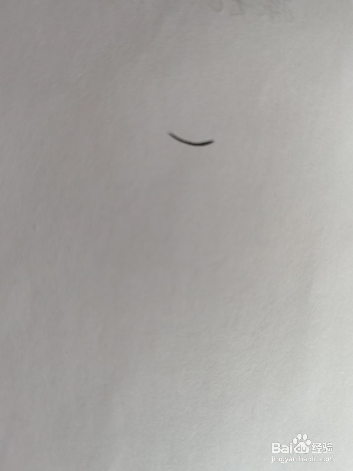 风的笔画顺序咋写