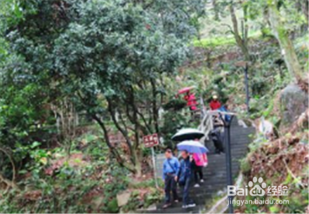 夏季永春适合避暑度假的几个地方