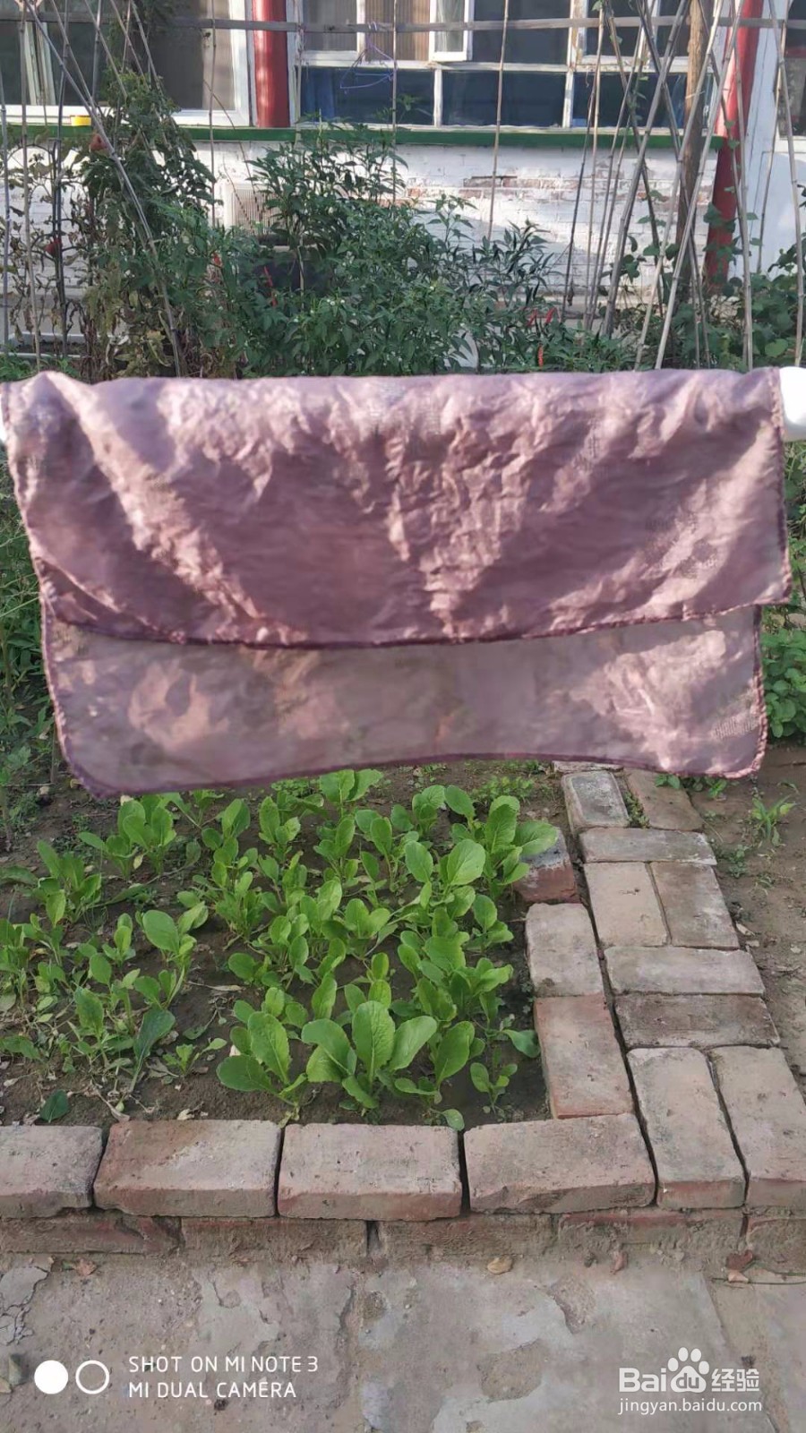 草木染之葡萄皮染手帕