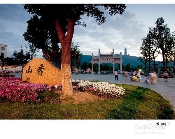 香山枫叶红满天