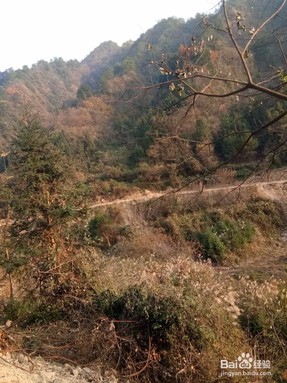 田云青老师旅游景观册编辑方法