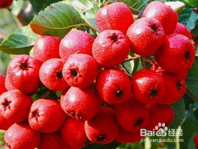 消化不良吃哪些食物