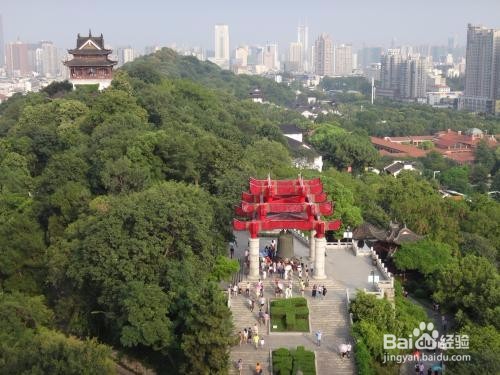 近视通过养成良好习惯就可矫正