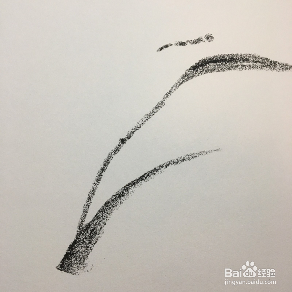 儿童油棒画：枝头上的蜓蜻