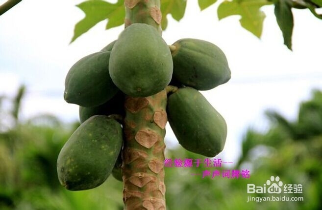 【胃病】 应该如何养胃