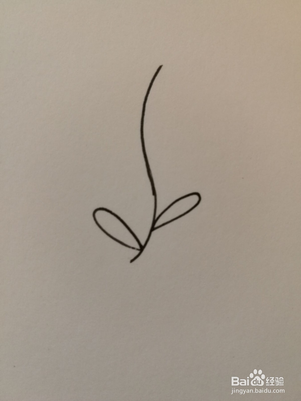 小草简笔画之画法八