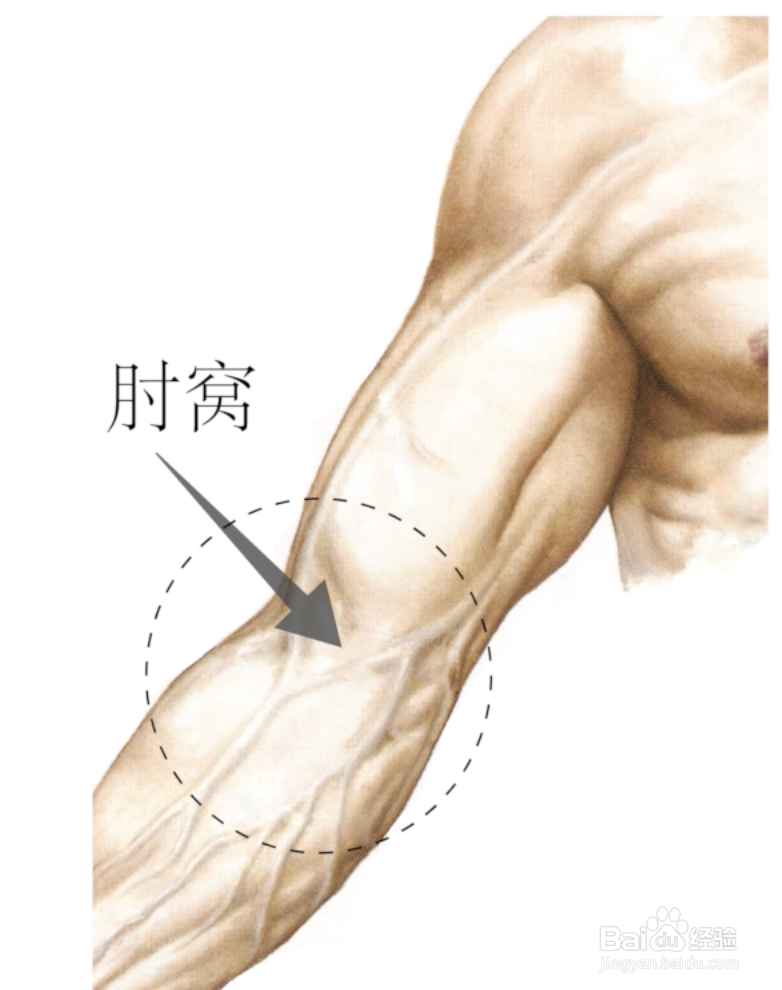 尼亚加拉手臂按摩教程