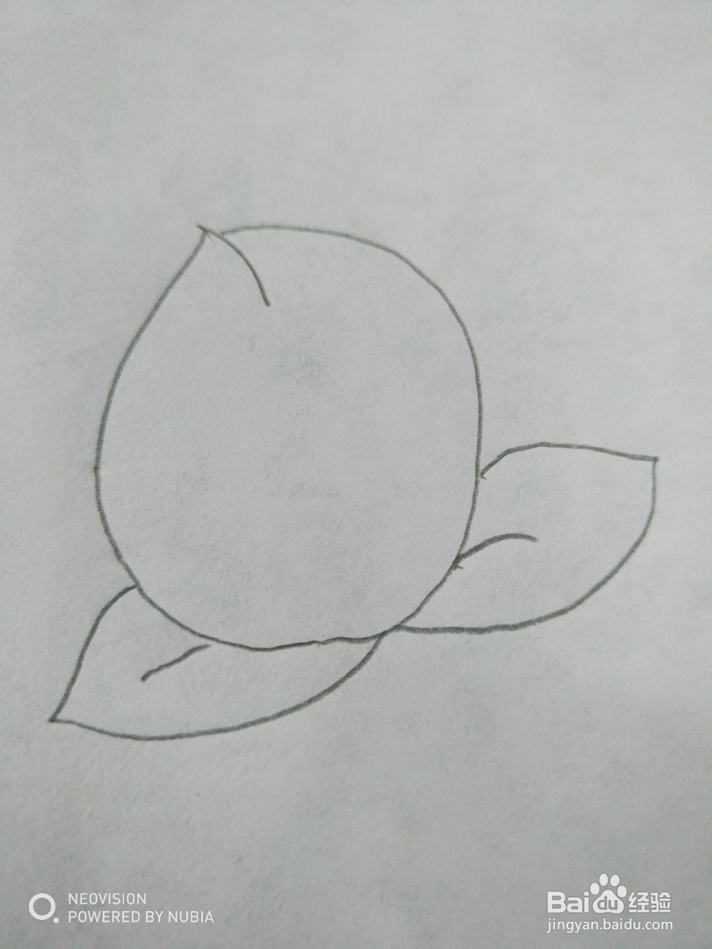 好吃的桃子怎么画