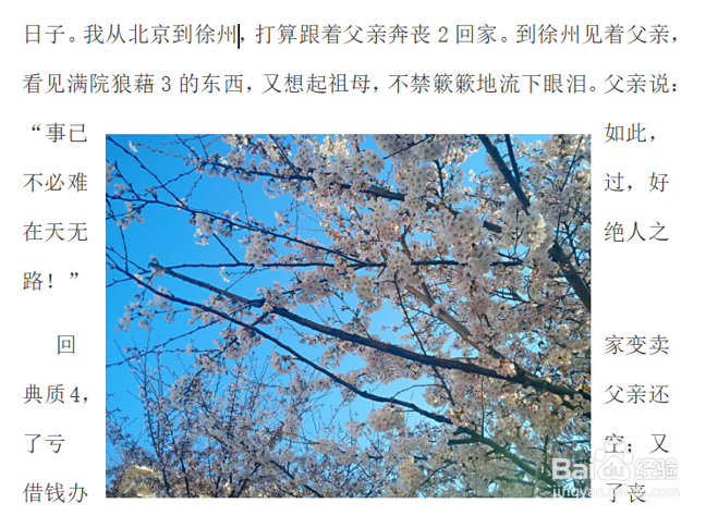 Word文字技巧—如何设置文字环绕图片