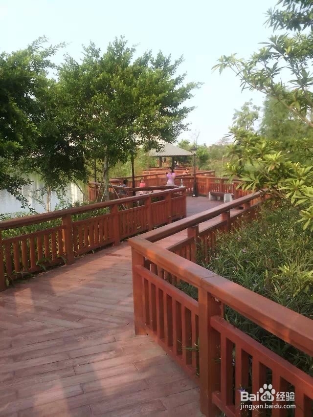 广州有哪些免费的地方可以玩