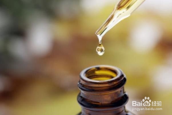 6种在家净化空气的自然方法