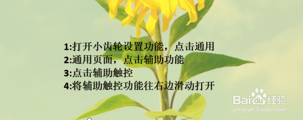 iphonex悬浮球怎么设置