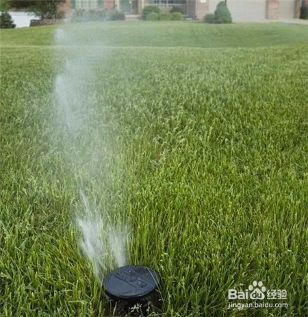 20头的三七多少钱一斤,近期的行情怎么样?