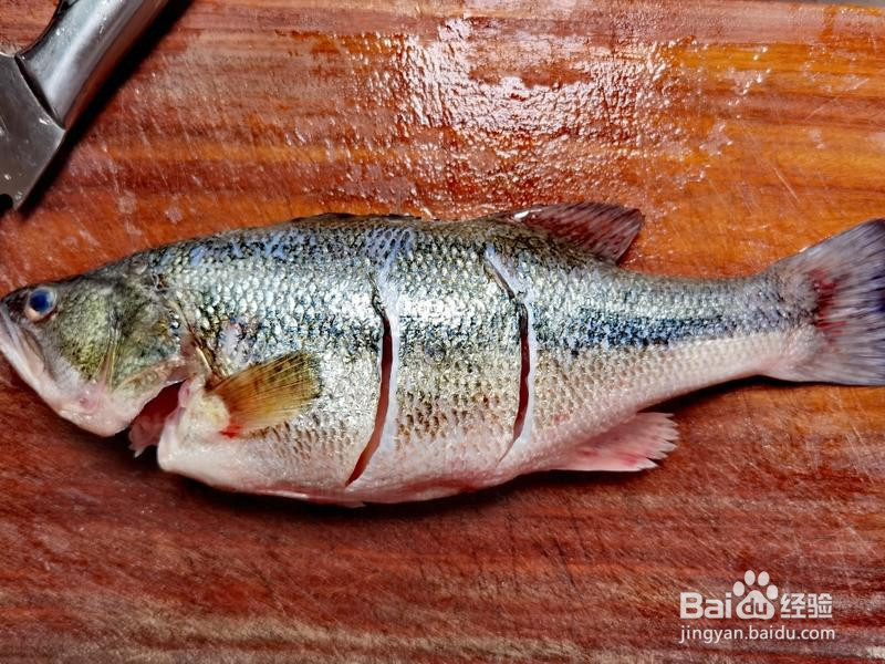 家常清蒸鲈鱼的做法