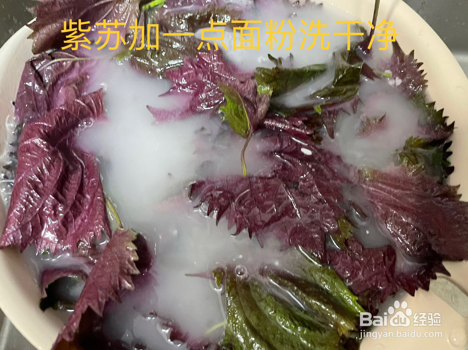 紫苏杨梅桃子姜的做法