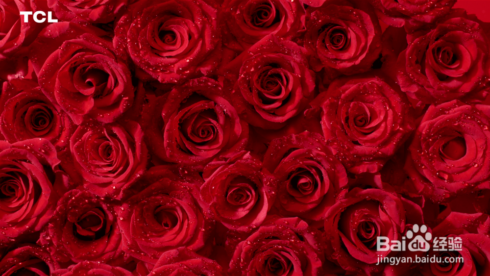 芒果月光宝盒开博尔H19 本地效果好不好？