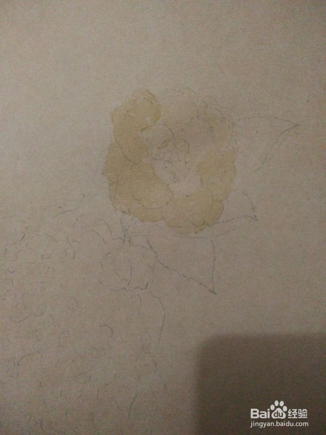如何用卡纸画白山茶-（白山茶怎么画）[图]