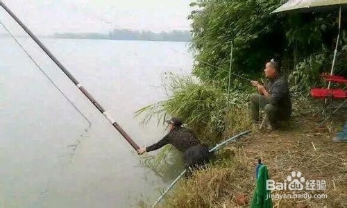 如何认知冬钓技巧