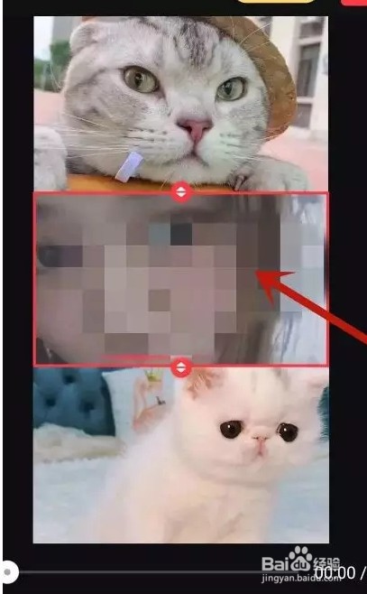 抖音怎么合拍别人视频