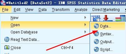 spss20.0中excel和txt格式的数据如何导入