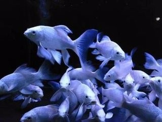 该对水时却没空怎么办?