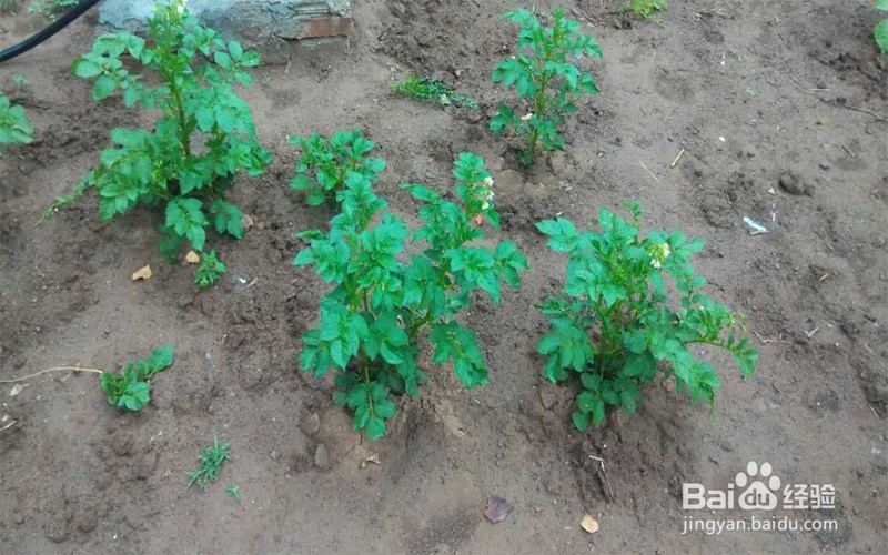 红米手机摄像头镜片刮花了怎么办