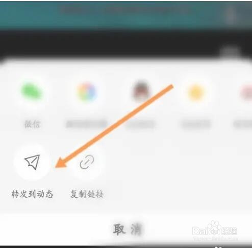 网易新闻APP如何转发视频到动态
