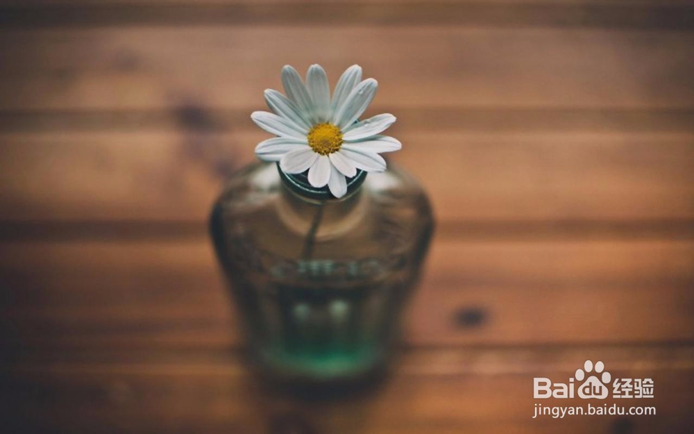 若逝去的爱情可以用钱买回,12星座愿意出多少钱