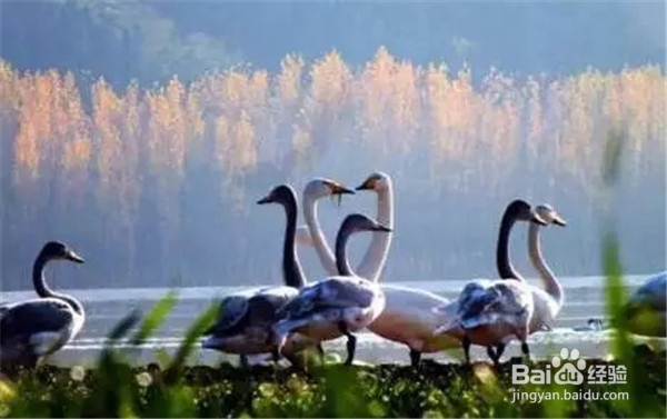 羡慕一号公路吗,陕西也将有这样的一条公路哦