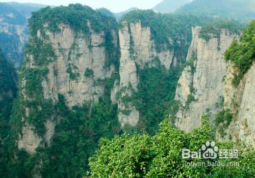 广州到张家界自由行(温馨贴士+景点)