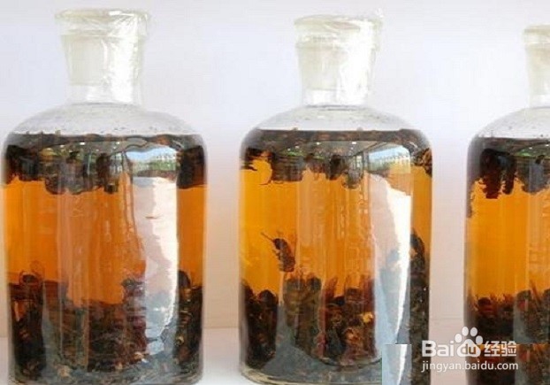 肉苁蓉的几点主要保健作用