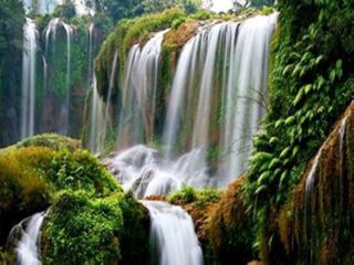 深圳金叶子温泉、南昆山国家森林公园二天游