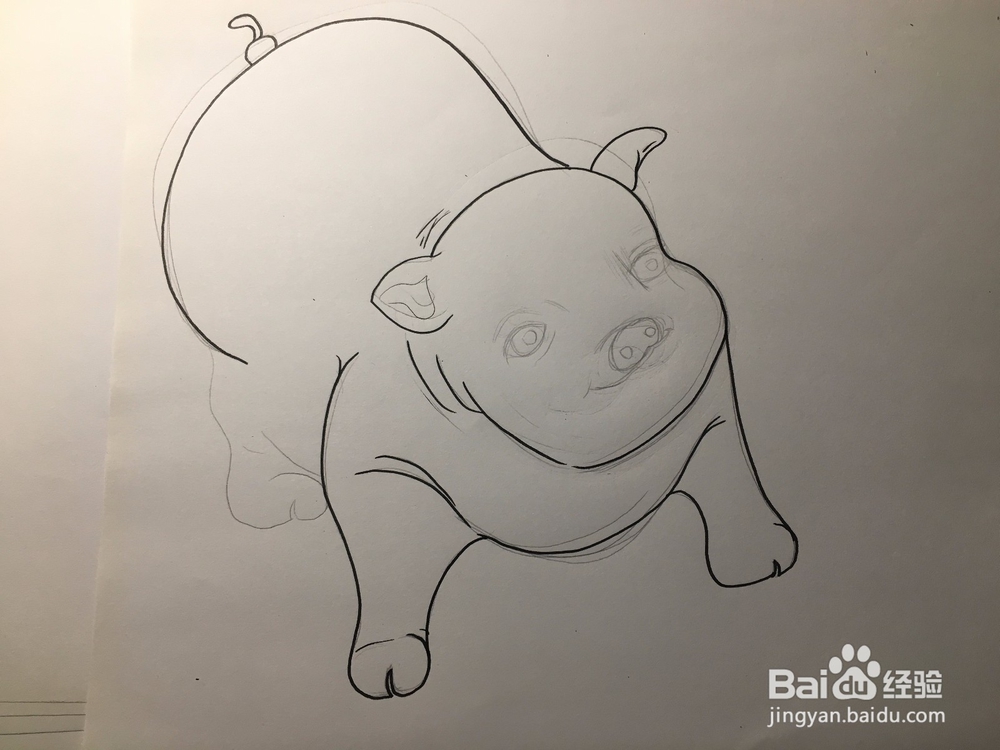 教你画一只萌萌的肥猪 猪年简笔画猪
