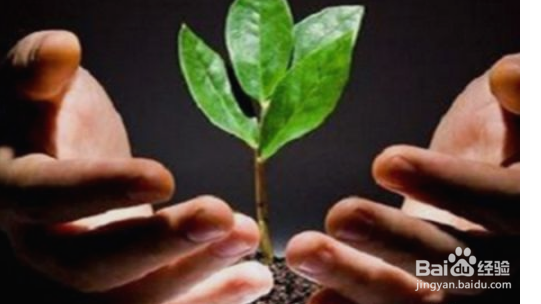 手机微商怎么找客源