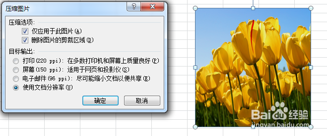 excel中图片调整的众多技巧